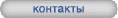 Контакты
